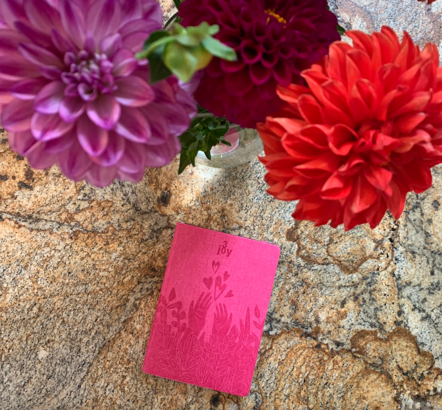 Shop Jenny's Favorites