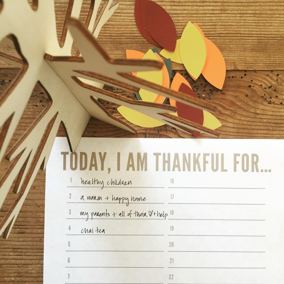 Gratitude Challenge