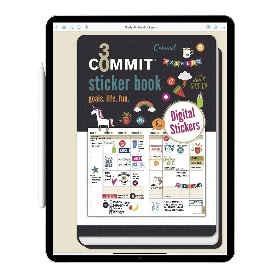 Functional Digital Stickers, Productivity and Goal Widget Stickers
